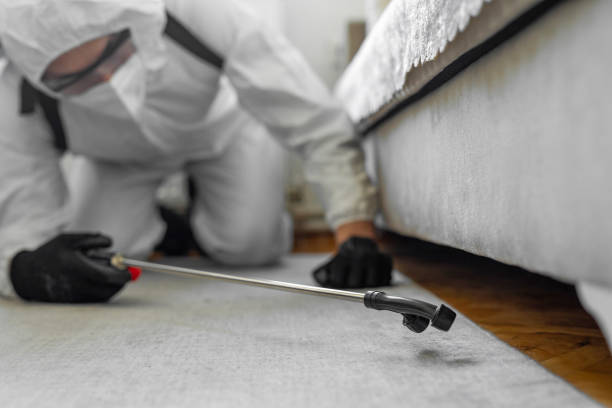 Professional Termite Control technician working in Ralls, TX