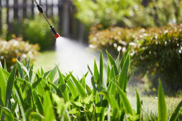 24/7 Emergency Termite Control experts in Ralls, TX